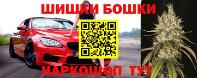 ПСИЛОЦИБИНОВЫЕ ГРИБЫ Новокубанск