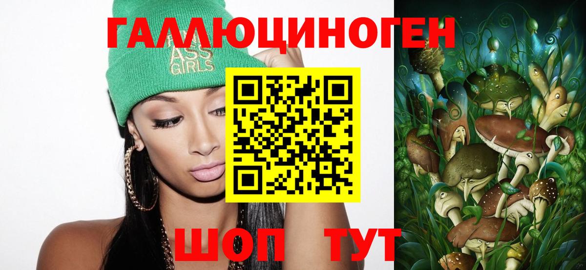 дарнет шоп  Псилоцибиновые грибы мухоморы  Вход с VPN  Тимашёвск 
